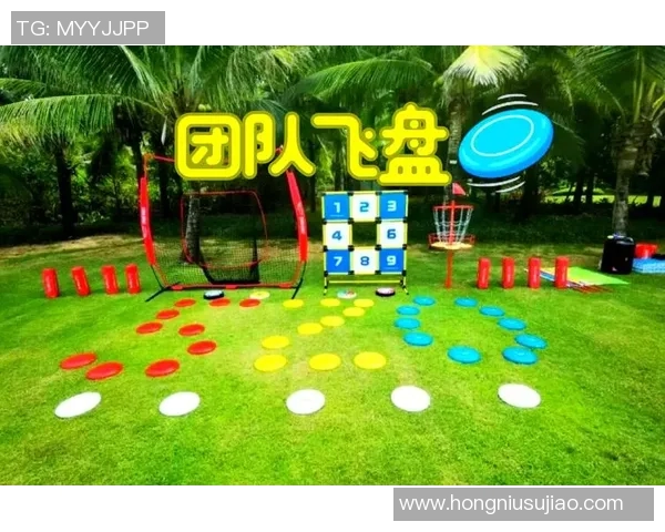 飞盘精神：西安飞盘队的拼搏历程与成长故事